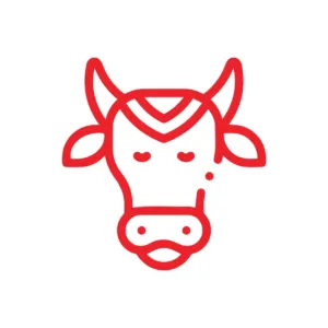 صك لحوم مستورد