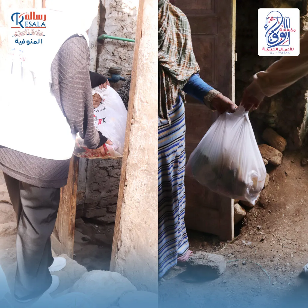 قافلة أسوان