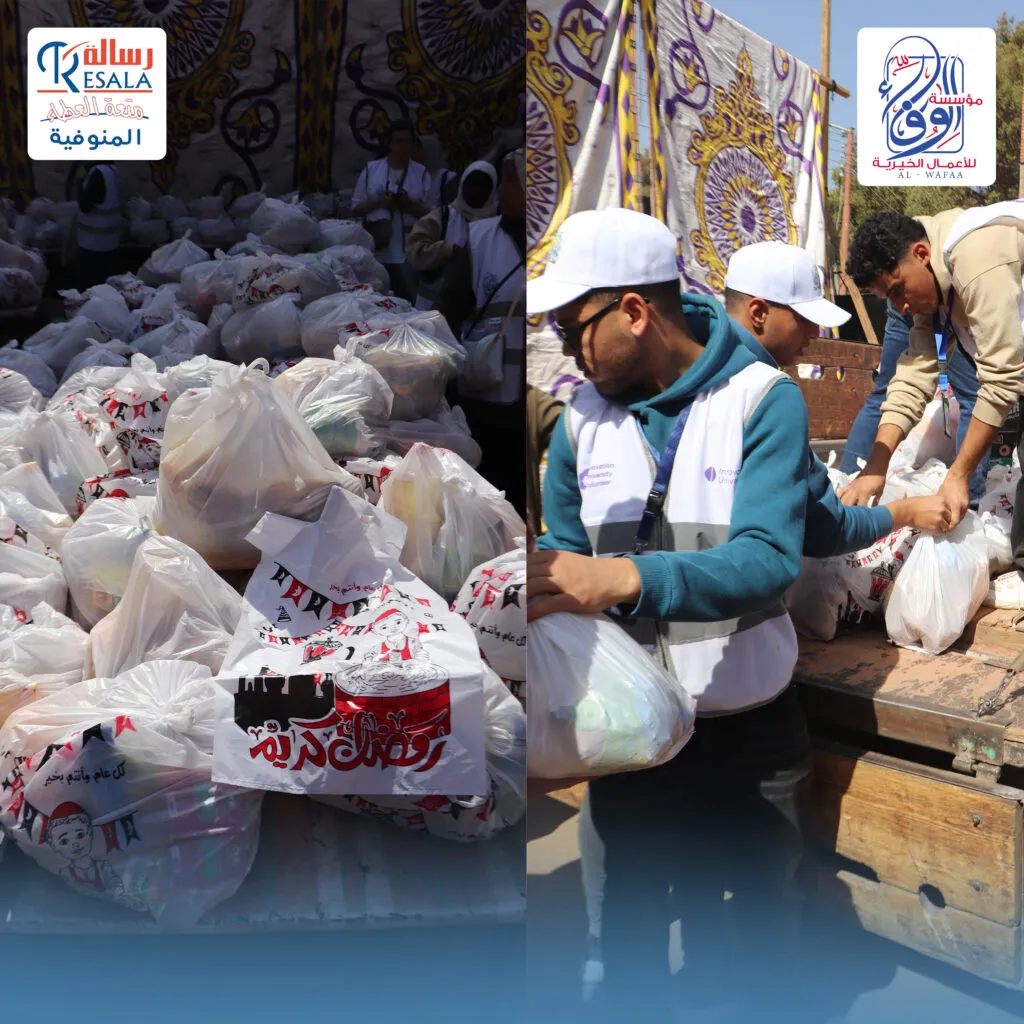 قافلة أسوان