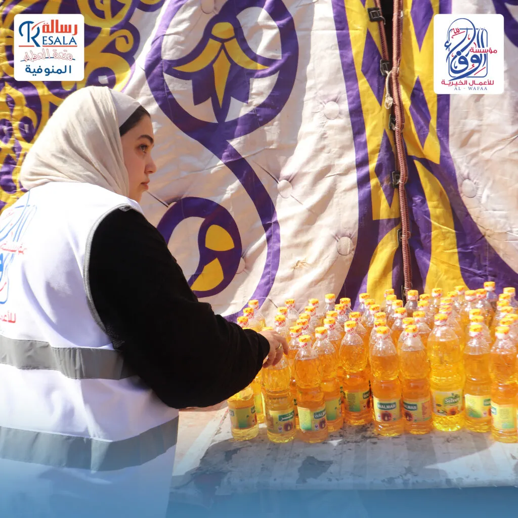 قافلة أسوان